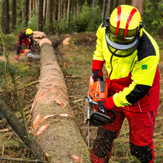 un homme habillé avec des vetements de protection rouges et jaunes tenant une tronçonneuse à la main, en train de couper dans une grume / un tronc d'arbre en forêt.